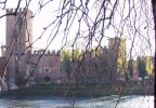 dietro l'albero... dietro l'albero...