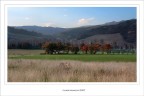 Colori......in collina Colori......in collina