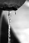 acqua bianca acqua bianca