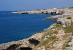 Leuca Leuca
