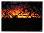 Tramonto Tramonto