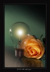 la luce della speranza la luce della speranza