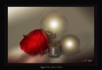 Raggi di luce e carezze d'amore Raggi di luce e carezze d'amore