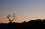 Ciò che collega il cielo alla terra Ciò che collega il cielo alla terra