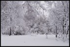 Ice Ice