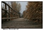 autunno autunno