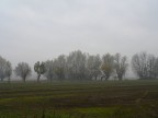ultimi colori ultimi colori