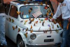 500 farfalle 500 farfalle
