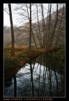 Boschi d'Autunno Boschi d'Autunno