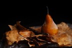 Natura Morta Sotto Zero Natura Morta Sotto Zero