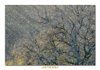 Autunno Autunno