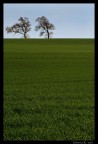 Prato Prato