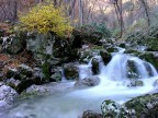 Autunno nel torrente Autunno nel torrente