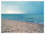 settembre, mare settembre, mare