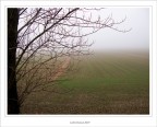 Sfumare....nel bianco Sfumare....nel bianco