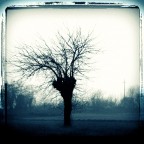 alberoblu alberoblu
