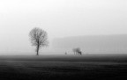 nella nebbia nella nebbia