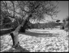 neve, 2 neve, 2