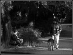 Storie nel Parco