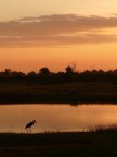 Tramonto Tramonto