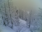alberi innveti a prali alberi innveti a prali