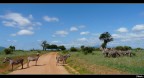 Kenya che amore... Kenya che amore...