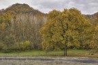 autunno autunno