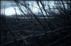 camargue camargue