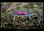 Amore Amore