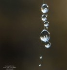 Una matina autumnale, umida, la caccia fotografica andava male, quando ho visto queste gocce apese all filo, apeso a un ramo di quale mi sono apeso ach'io