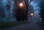 walking walking