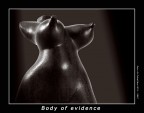 Body of evidence