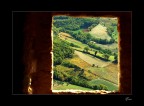 Vision Vision