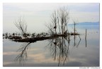Lago Trasimeno
