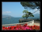 lago Maggiore lago Maggiore