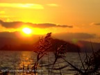 Un particolare del tramonto sul lago Un particolare del tramonto sul lago