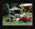 Presepe