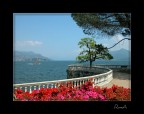 lago Maggiore lago Maggiore