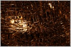 Luci di Natale Luci di Natale