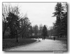 ::: COPPIE AL PARCO ::: ::: COPPIE AL PARCO :::