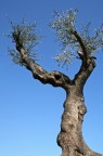 L'abbraccio L'abbraccio