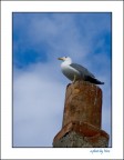 Il Guardiano della Soglia