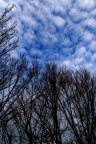 cielo cielo