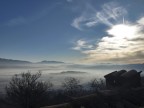 Misty Morning Misty Morning