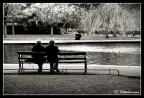 Dublino 04 Dublino 04