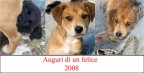 Auguri di un felice 2008