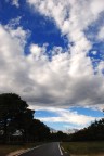 Verso il cielo ed i suoi colori Verso il cielo ed i suoi colori