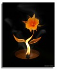 fiore di fuoco fiore di fuoco