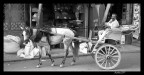 il carretto ... il carretto ...