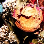 Ricordo di un dono d'amore